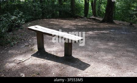 Woodland bench seat Stock Photo
