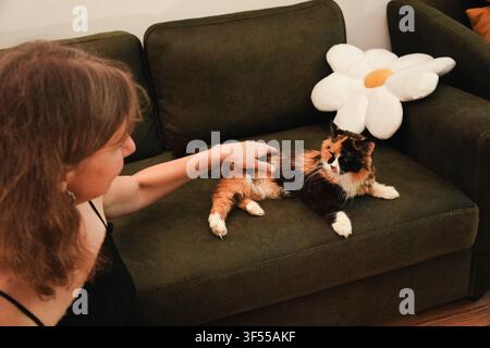Woman gently petting a relaxed long haired calico cat lying on a sofa indoors. Warm home lifestyle scene reflecting comfort, trust, companionship, and Stock Photo