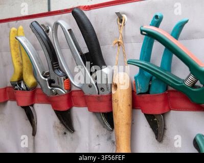 Various metal gardening hand shears and pruning tools hanging from a red strap on a canvas organizer, prepared for horticulture and plant maintenance Stock Photo