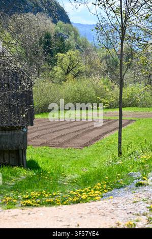 A recently plowed field in a rural landscape, ready for spring planting, with a peaceful and serene atmosphere. Shot from a low angle, the image showcases the surrounding grass, trees, anda. Stock Photo