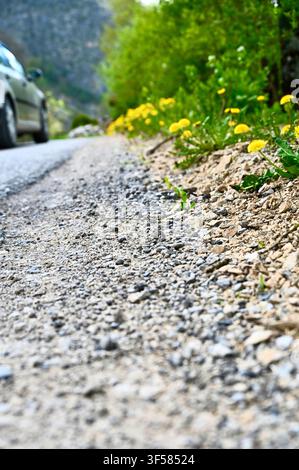 A low-angle close-up shot focusing on the rough texture of a gravel road shoulder, lined with bright yellow dandelions and fresh green grass, with a blurred car and mountain backdrop in the distance. Stock Photo
