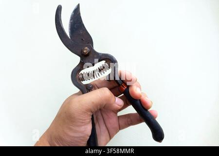 Rusty Pruning Shears Held in Hand isolated On White Stock Photo
