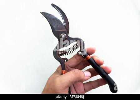 Rusty Pruning Shears Held in Hand isolated On White Stock Photo