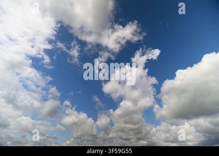 Fluffy clouds float gracefully across a bright blue sky, creating a serene view during a warm afternoon, inviting daydreams and reflections. Stock Photo