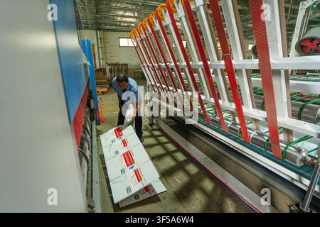 Luanan, China - July 30, 2026: Packaging Factory Worker Sorting Printed Carton Paperboards Stock Photo