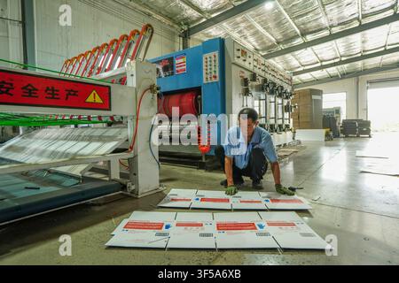 Luanan, China - July 30, 2026: Worker Inspecting Carton Printing Samples Stock Photo