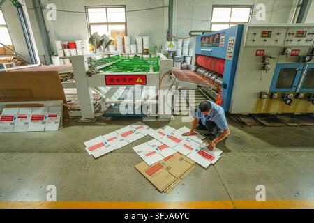 Luanan, China - July 30, 2026: Workshop Worker Inspecting Carton Printing Templates Stock Photo