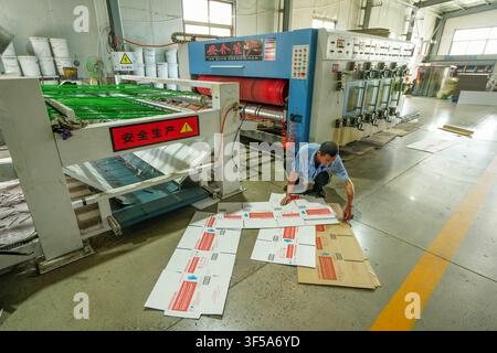 Luanan, China - July 30, 2026: Operator Inspecting Semi-finished Carton Printing Products Stock Photo
