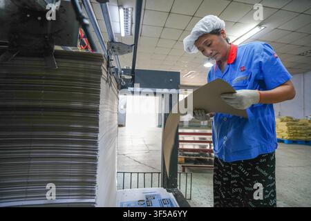 Luanan, China - July 30, 2026: Female Worker On Duty at Printing Production Line Controlling Printing Procedures Stock Photo
