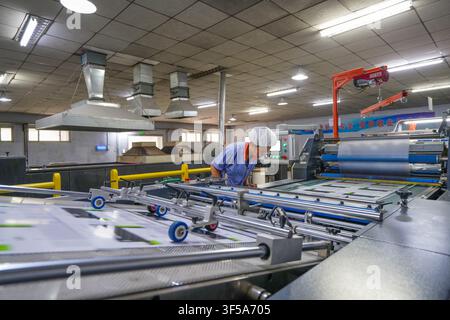 Luanan, China - July 30, 2026: Female Worker Checking Quality of Printed Paperboards for Quality Inspection Stock Photo