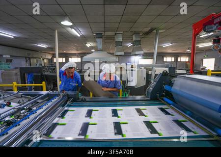 Luanan, China - July 30, 2026: Female Worker Sampling Finished Paper in Printing Workshop Stock Photo