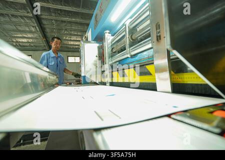 Luanan, China - July 30, 2026: Worker Inspecting Finished Processed Corrugated Cartons Stock Photo