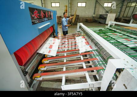 Luanan, China - July 30, 2026: Worker Feeding Paperboards into Carton Printing Machinery Stock Photo