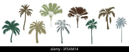 Tropical palm silhouettes in varied shades, forms Stock Vector