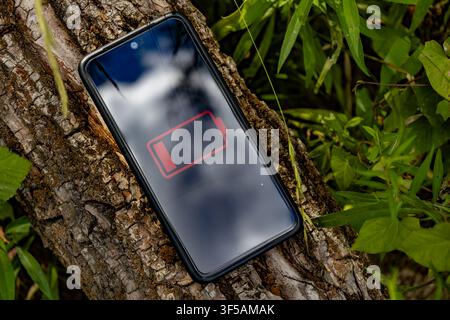 Low Battery Smartphone Outdoors on Fallen Tree Trunk During Power Crisis Stock Photo