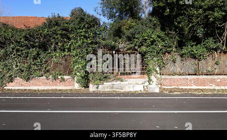 Rusty gate in the middle of a weathered fence made of bricks and metal grid . Abandoned garden on behind, road in front. Background for copy space. Stock Photo