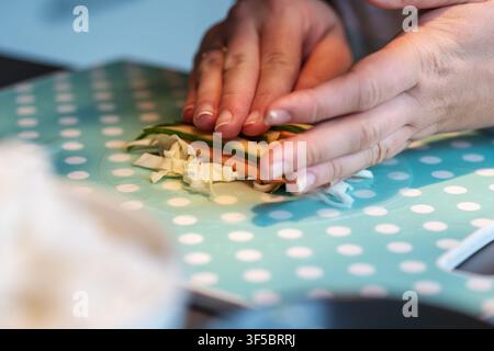 Hands are arranging and folding sliced cucumber, carrot, cabbage and rice noodles on rice paper on a dotted cutting board. The scene shows homemade su Stock Photo