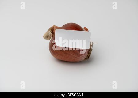 Single red onion isolated on a clean white background with a soft shadow and copy space. Stock Photo
