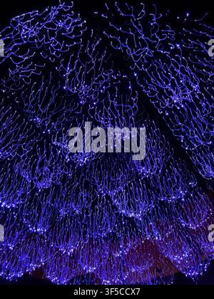 abstract immersive led light installation creating a glowing blue pattern in a dark exhibition space. futuristic digital art, interactive technology, Stock Photo