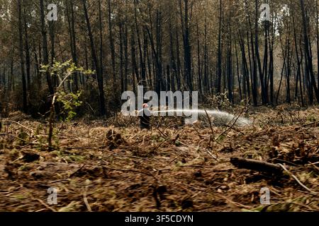 A volunteer sprays water along the edge of the forest to fight the wildfire ravaging part of Gironde, on July 28, 2026.  -  28/07/2026  -  France / Gironde - Antonin Burat / Le Pictorium Stock Photo