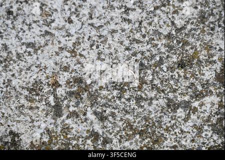 A detailed macro view of a rough, weathered ceramic wall surface featuring a mottled pattern of gray, white, and earthy tones with granular texture. Stock Photo