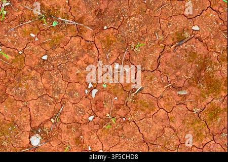 A close-up view of parched, cracked red clay earth with a dry texture, featuring tiny pebbles and sparse vegetation during a drought. Stock Photo