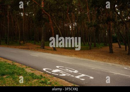 Asphalt bicycle path through dark pine forest with painted white bicycle symbol, eco friendly transit, woodland cycling track, outdoor recreation infrastructure, forest parkway Stock Photo