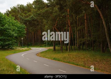 Winding asphalt bicycle path through lush green forest in daytime, eco friendly transit, woodland cycling track, outdoor recreation infrastructure, forest parkway Stock Photo