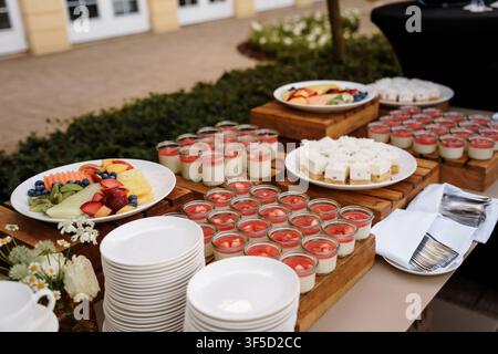Elegant outdoor dessert catering station featuring fruit platters, mini cheesecakes, and panna cotta served at a wedding reception, elegant outdoor wedding reception banquet Stock Photo