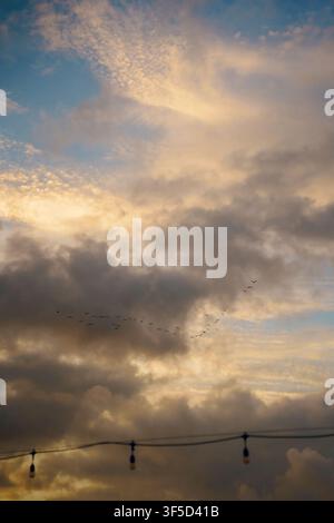 Peaceful sunset sky with soft golden and blue clouds and a flurry of birds, featuring a string of decorative lights silhouetted against the evening horizon Stock Photo
