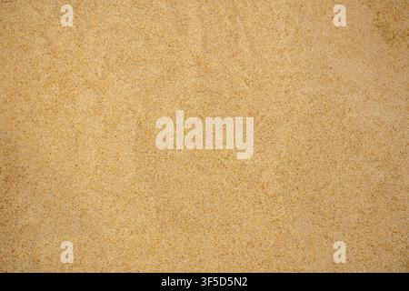 A close up of fine golden beach sand, showcasing the intricate textures and organic patterns of individual grains, macro photography, sediment details, coastal geology, natural abstract pattern Stock Photo