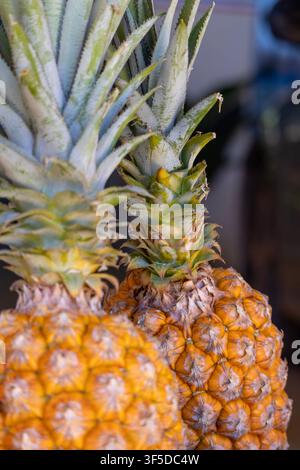 Fresh pineapple from the Amazon Rainforest region of Brazil, vibrant yellow with incredible texture and symmetry patterns. Stock Photo