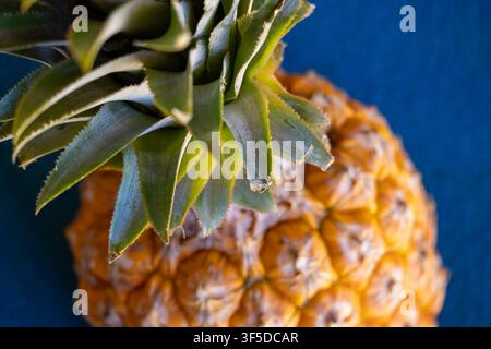 Fresh pineapple from the Amazon Rainforest region of Brazil, vibrant yellow with incredible texture and symmetry patterns. Top view with focus on the Stock Photo