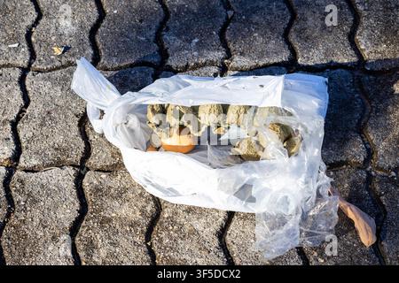 A bag with an egg box and egg shells in the environment wrongly disposed of polluting the environment in the Amazon Rainforest region of Brazil. Stock Photo