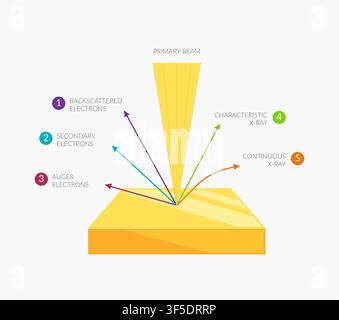 Scanning electron microscopy in materials science - Stock Illustration as EPS 10 File Stock Vector