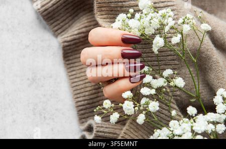 A hand with long, deep burgundy nails gently holds fresh white flowers resting on a soft knitted sweater. The warm texture and color contrast beautifully. Stock Photo