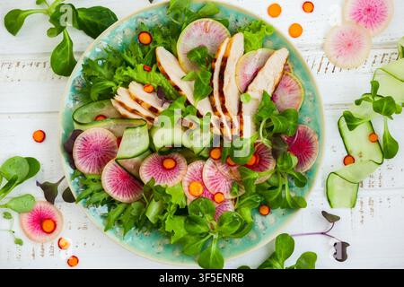 Grilled chicken salad with cucumber and watermelon radish Stock Photo