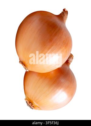 Two bulbs of white or big onions in stack are isolated on white background with clipping path. Stock Photo