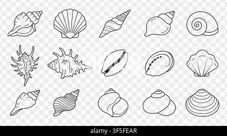 Bundle Set of Linear Seashell Outline Vector Icons Collection for Creative Marine Graphic Design Stock Vector