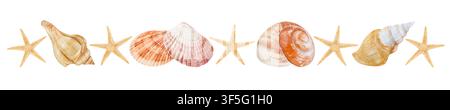 Various mussels and seashells with seastars isolated on white background Stock Photo