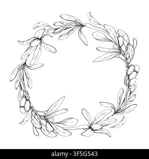 Decorative circle wreath of olive, bay laurel twigs, branches with leaves and fruit. Hand drawn botanical pencil illustration. Gourmet packaging Stock Vector