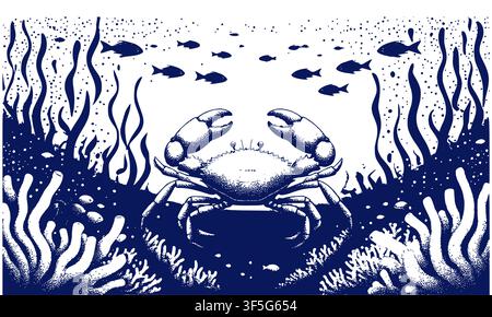 Crab in the ocean water, sketch. Vector illustration. The drawing of the seabed with algae and corals is highlighted on a white background. Seafood, f Stock Vector