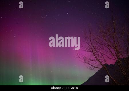 Northern Lights Dancing Over Snowy Mountains in Winter, Tromsø, Norway Stock Photo
