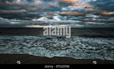 Dramatic stormy sea with waves, foam on sandy beach and seagulls flying under dark clouds. Moody coastal landscape at dusk. Black Sea autumn seascape. Stock Photo