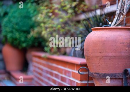 Large terracotta jar beside a brick wall with lush potted plants in a garden setting Stock Photo