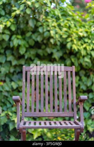Front view of an empty wooden garden chair surrounded by lush green foliage and soft natural light Stock Photo