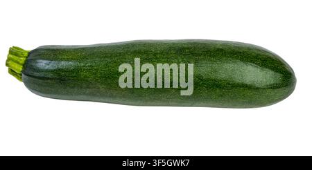 Fresh green zucchini on a white background Stock Photo