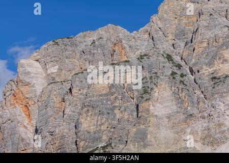 Warm orange patches and small areas of alpine vegetation interrupt the immense gray limestone surface. A close crop turns the face of Col Bechei into Stock Photo
