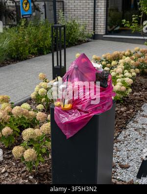Overflowing black street trash can with pink garbage bag, empty plastic cups, and waste outdoors on sidewalk in Warsaw on August 1, 2026, editorial ph Stock Photo
