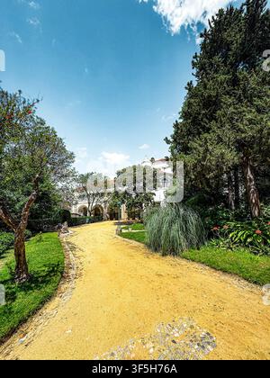 Sunlit dirt path winds through lush greenery. Tall trees and vibrant plants line both sides. Sky is bright blue with scattered white clouds. Path lead Stock Photo